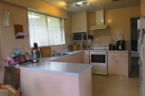 Photo of property in 1101 Queen Sh25 Street, Thames, 3500