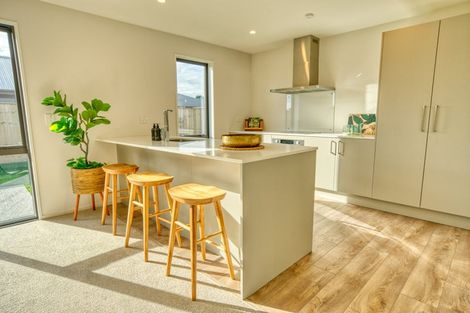 Photo of property in 51 Ashley Drive, Paroa, Greymouth, 7805