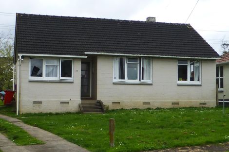 Photo of property in 16 Kohekohe Crescent, Meremere, Mercer, 2474