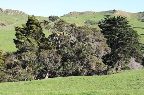 Photo of property in 1141 Waingaro Road, Glen Massey, 3793