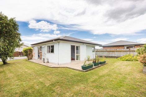 Photo of property in 986 Tremaine Avenue, Roslyn, Palmerston North, 4414