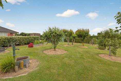 Photo of property in 225 Marshmans Road, Ashley, Rangiora, 7477