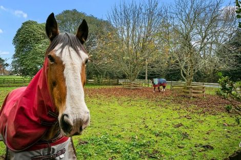 Photo of property in 145 Pickering Road, Tamahere, Cambridge, 3493
