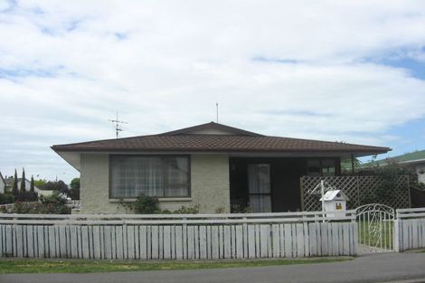 Photo of property in 29 Henry Street, Blenheim, 7201
