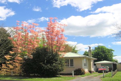 Photo of property in 45 Western Street, Matamata, 3400