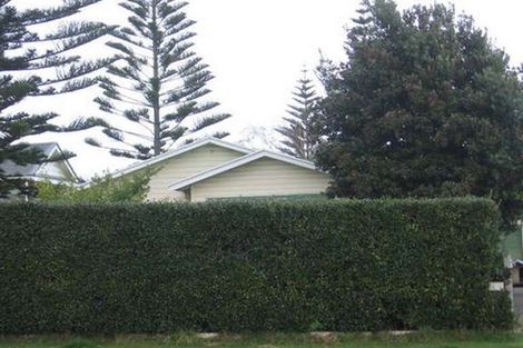 Photo of property in 13 Stuckey Street, Levin, 5510