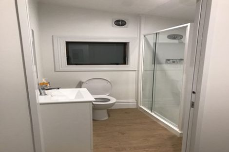 Photo of property in 23 Buchanan Street, Kingsland, Auckland, 1021