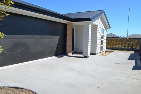 Photo of property in 113 Union Drive, Papamoa, 3118