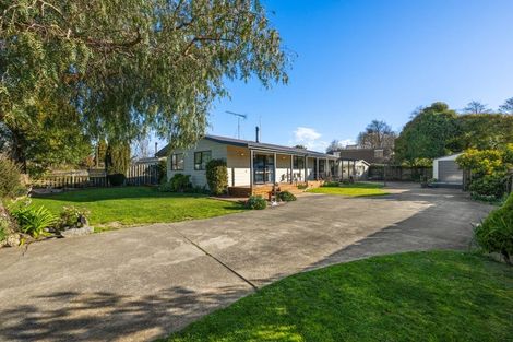 Photo of property in 24 Brydon Street, Renwick, 7204