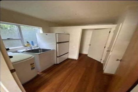 Photo of property in 42 Honiana Te Puni Street, Aro Valley, Wellington, 6021