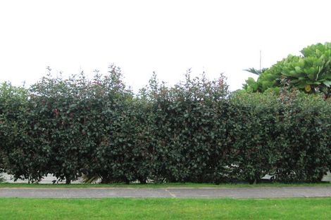 Photo of property in 65 Hahei Beach Road, Hahei, Whitianga, 3591