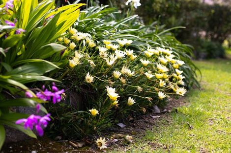 Photo of property in Mahinepua Road, Kaeo, 0478