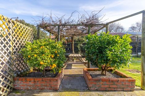 Photo of property in 217 Belvedere Road, Carterton, 5713