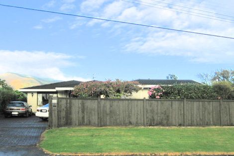 Photo of property in 22b Hira Street, Waikanae, 5036