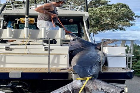 Photo of property in 21 Orete Point Road, Waihau Bay, Te Kaha, 3199