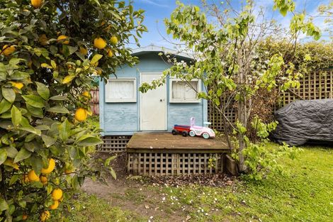 Photo of property in 21 Rata Place, Witherlea, Blenheim, 7201