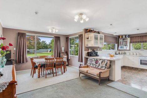 Photo of property in 20 Irvines Road, Dunsandel, Leeston, 7682