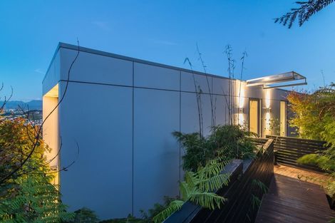 Photo of property in 27a Mana Street, Vogeltown, Wellington, 6021