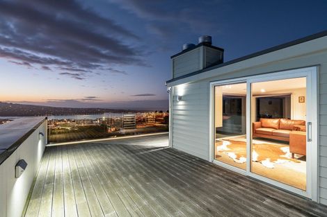 Photo of property in 29 Selkirk Street, Roslyn, Dunedin, 9010