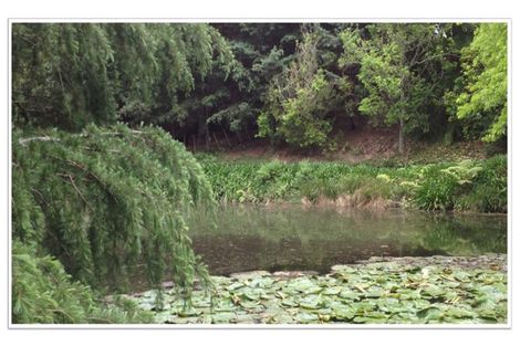 Photo of property in 62 Old Coach Way, Ramarama, Drury, 2579