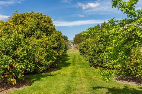 Photo of property in 353 Te Aute Road, Pukahu, Hastings, 4172