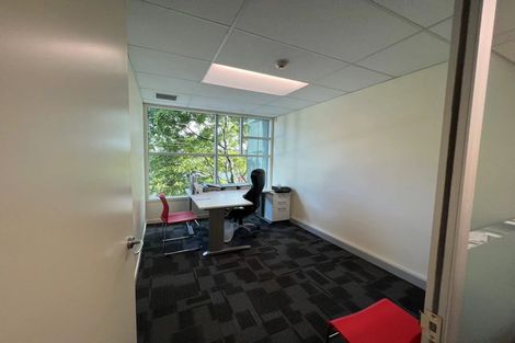 Photo of property in 8a Madeira Lane, Grafton, Auckland, 1023