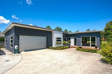 Photo of property in 147 Golden Shore Place, Coromandel, 3506