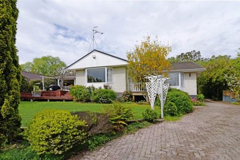 Photo of property in 49 Reeve Drive, Havelock North, 4130