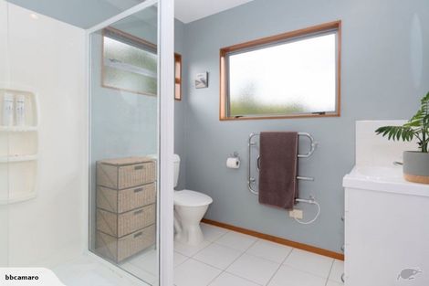 Photo of property in 725 Wright Road, Aongatete, Katikati, 3181