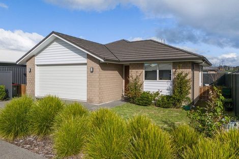 Photo of property in 87 Sentinel Avenue, Omokoroa, 3114