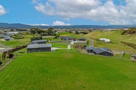 Photo of property in 29 Quail Avenue, Feilding, 4775