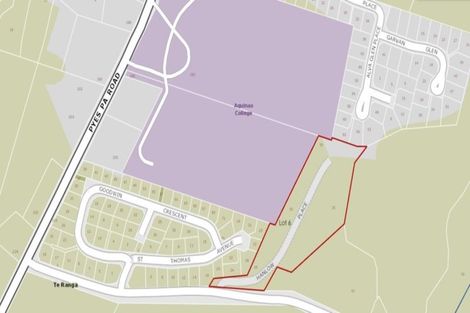 Photo of property in 15 Hanlow Place, Pyes Pa, Tauranga, 3112