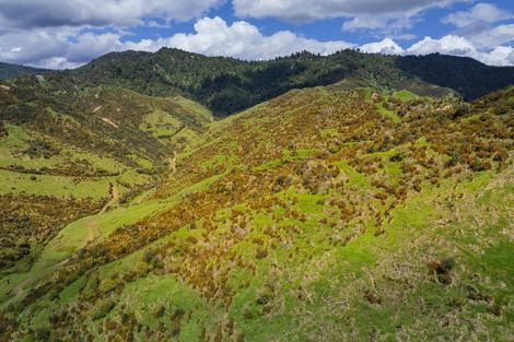 Photo of property in 987 Mangaehu Road, Puniwhakau, Stratford, 4392