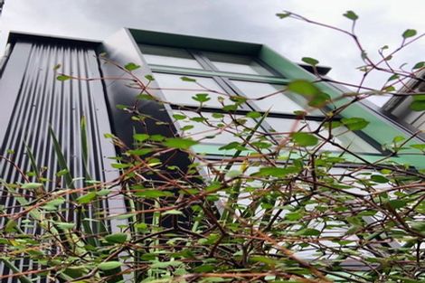 Photo of property in 108 Aro Street, Aro Valley, Wellington, 6021