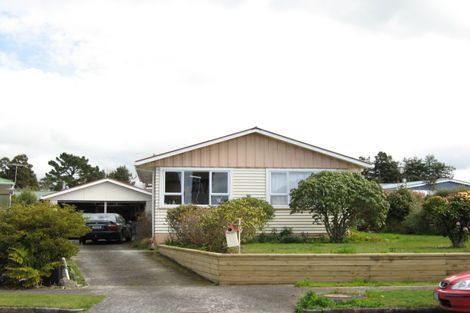 Photo of property in 19 Montjoy Street, Stratford, 4332