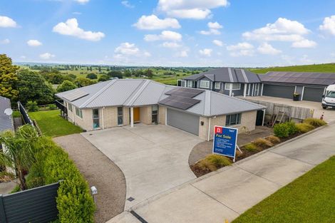 Photo of property in 19 Fairview Street, Tirau, 3410
