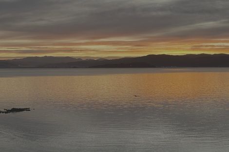 Photo of property in 62 Evans Bay Parade, Roseneath, Wellington, 6021