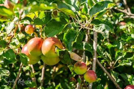 Photo of property in 55 Gorge Road, Maungaturoto, 0520