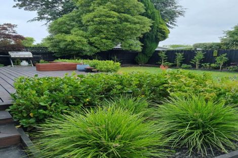 Photo of property in 117 Blighs Road, Strowan, Christchurch, 8052