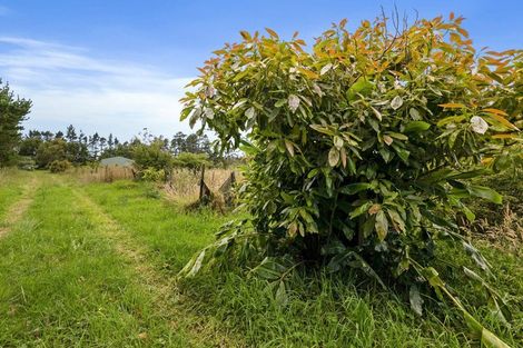 Photo of property in 379 Tara Road, Mangawhai, Kaiwaka, 0573