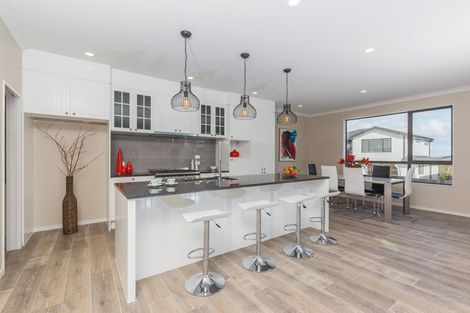 Photo of property in 19 Brickworks Bay Road, Hobsonville, Auckland, 0618