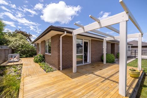 Photo of property in 25 Tarata Grove, Lansdowne, Masterton, 5810