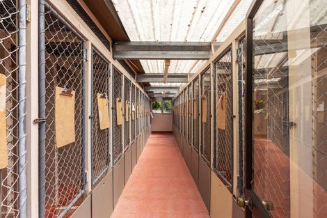 Photo of property in 2c Kaitoke Loop Road, Kaitoke, Upper Hutt, 5018