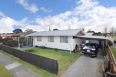 Photo of property in 23 Fergusson Street, Marton, 4710