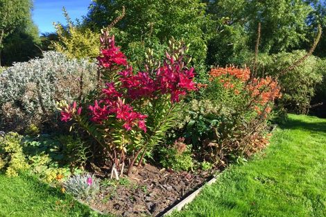 Photo of property in 37 Settlement Hill Road, Owaka, 9586