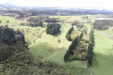 Photo of property in 348b Rea Road, Tahawai, Katikati, 3178