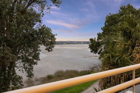 Photo of property in 20b Scantlebury Street, Tauranga South, Tauranga, 3112