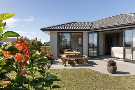 Photo of property in 11 Vista Close, Omokoroa, 3114