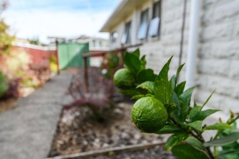 Photo of property in 7b Humphrey Street, Marton, 4710