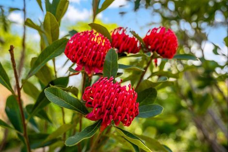 Photo of property in 145 Jones Road, Tawharanui Peninsula, Warkworth, 0986